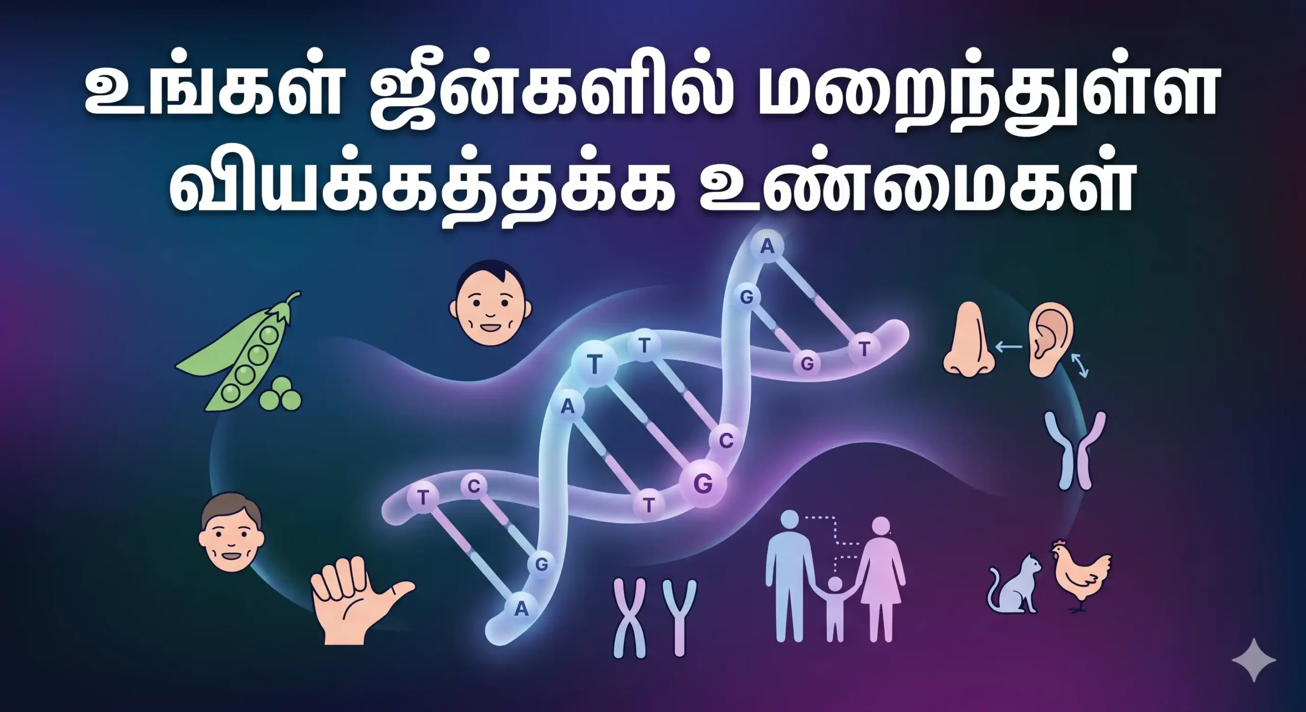 நீங்கள் ஏன் இப்படி இருக்கிறீர்கள்?
