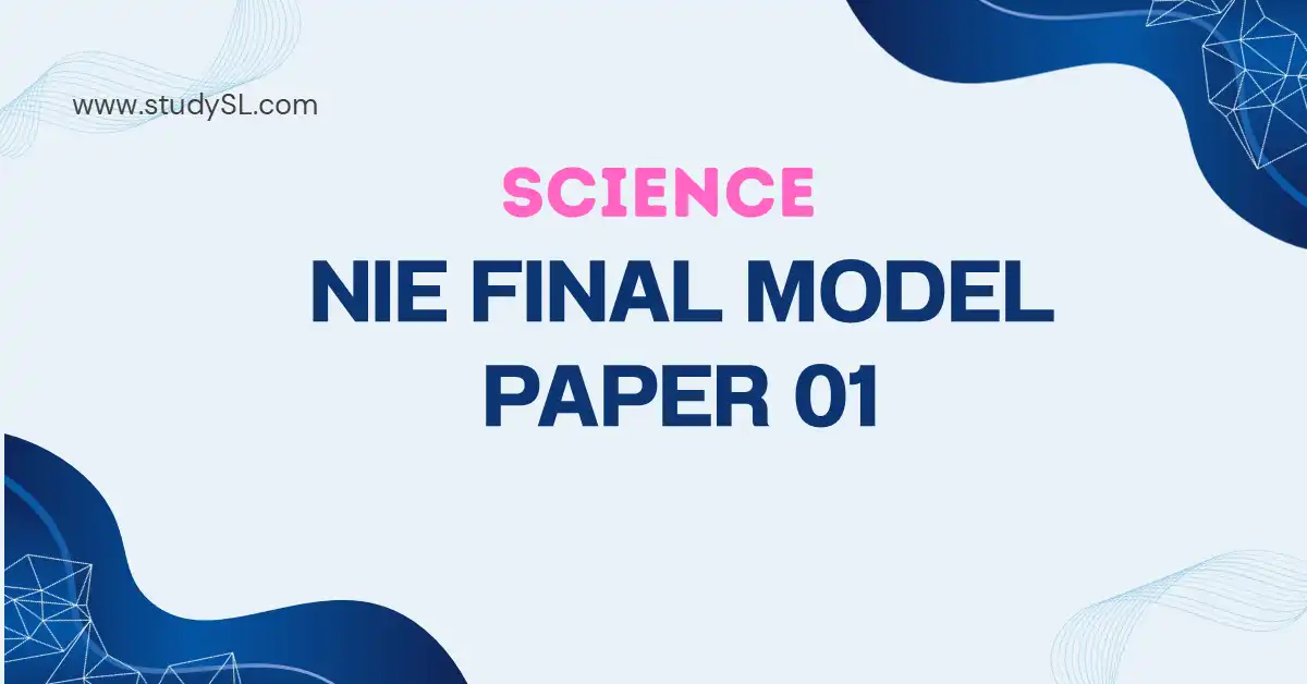 NIe model paper
