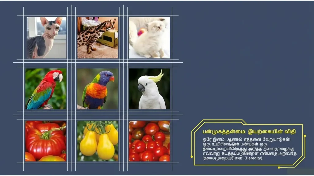 science tamil medium