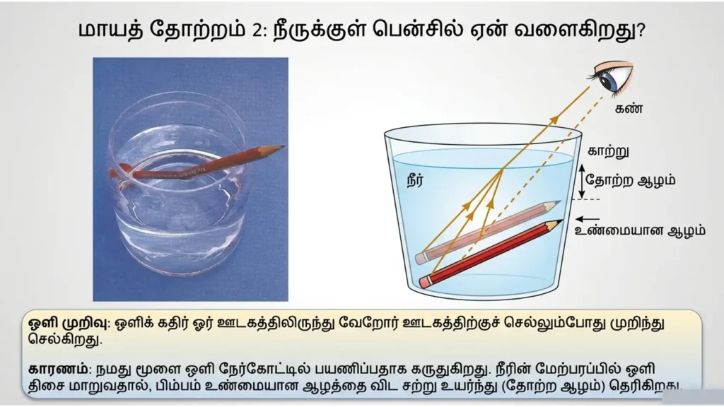 grade 11 science