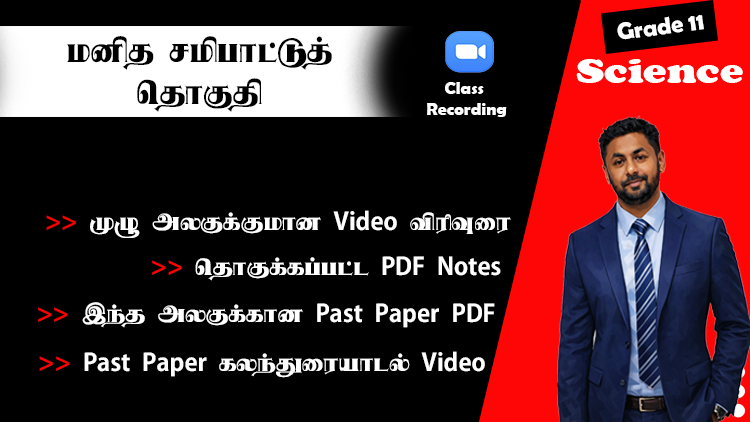 மனித உடற்செயன்முறைகள்-சமிபாட்டுத் தொகுதி