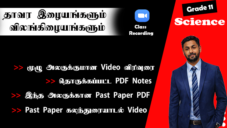 தாவர இழையங்களும் விலங்கிழையங்களும் (G11 Unit 1)