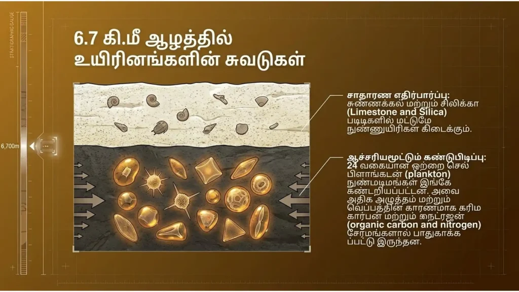 kola